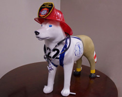 Health and Safety Husky